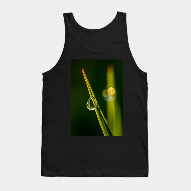 Water Bead on a Blade of Grass Tank Top by jecphotography